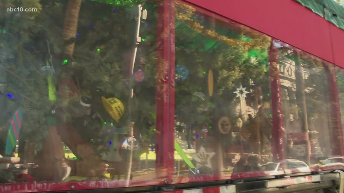 U.S. Capitol Christmas tree leaves its NorCal home - Vimarsana News