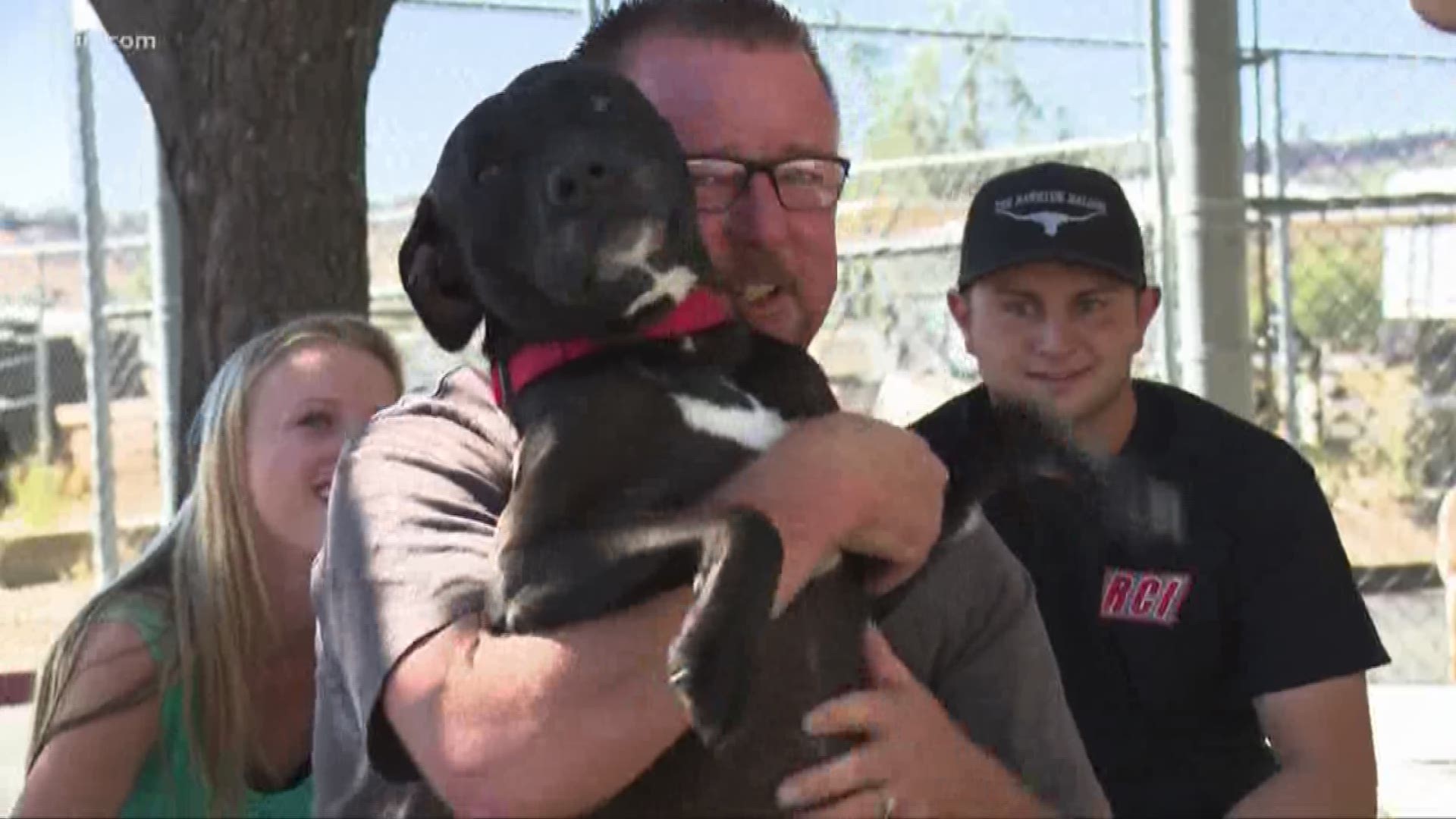 A local family was reunited with their lost dog after more than a year apart. 
