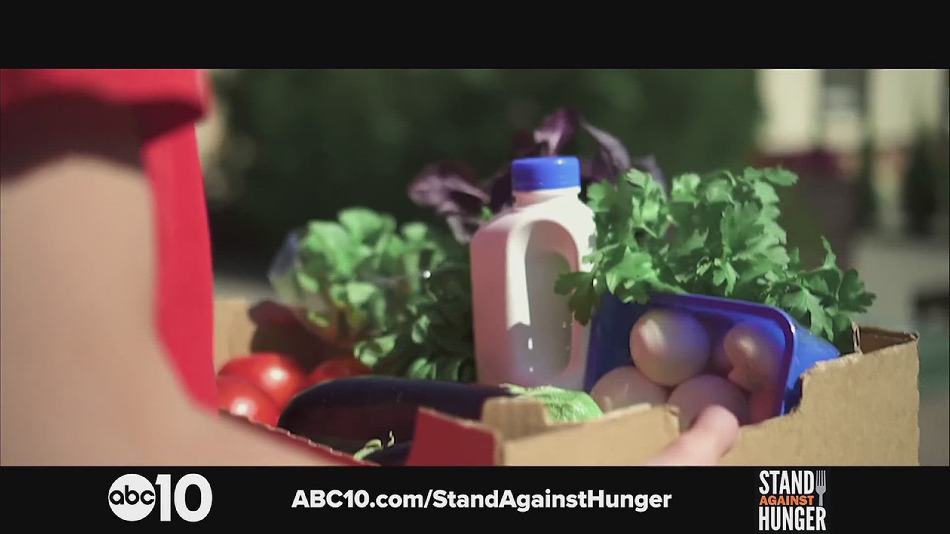 Learn how the Sacramento Food Bank & Family Services is tackling food insecurity in our community and how you can help, especially this holiday season.