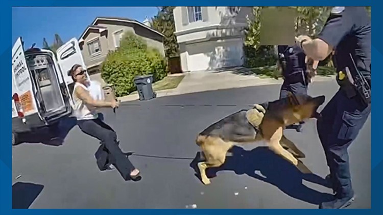 Elk Grove releases video of dog at risk of being euthanized biting officer
