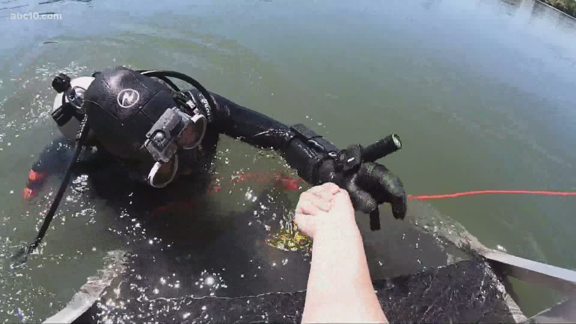 Sacramento's resident "merman" made a big save, reuniting a $17,000 ring that was lost in the river with its owner.