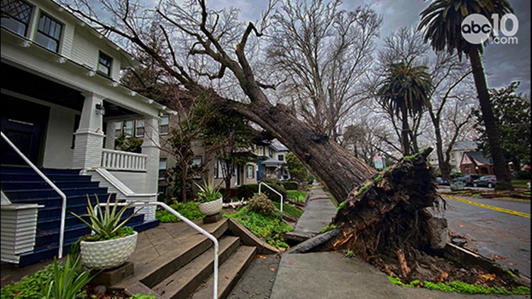Crews fight heavy winds to clear backlog of tree damages in Sacramento