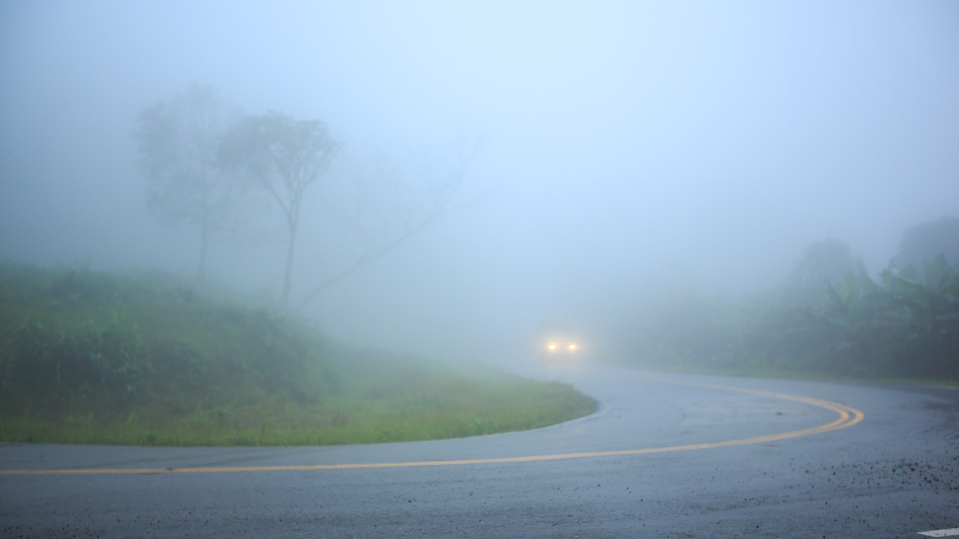 Driving Through Fog