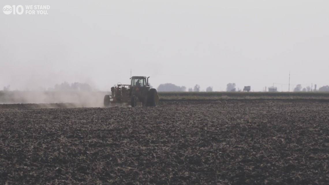 Gotham Greens opens a 10-acre farm/research facility in California