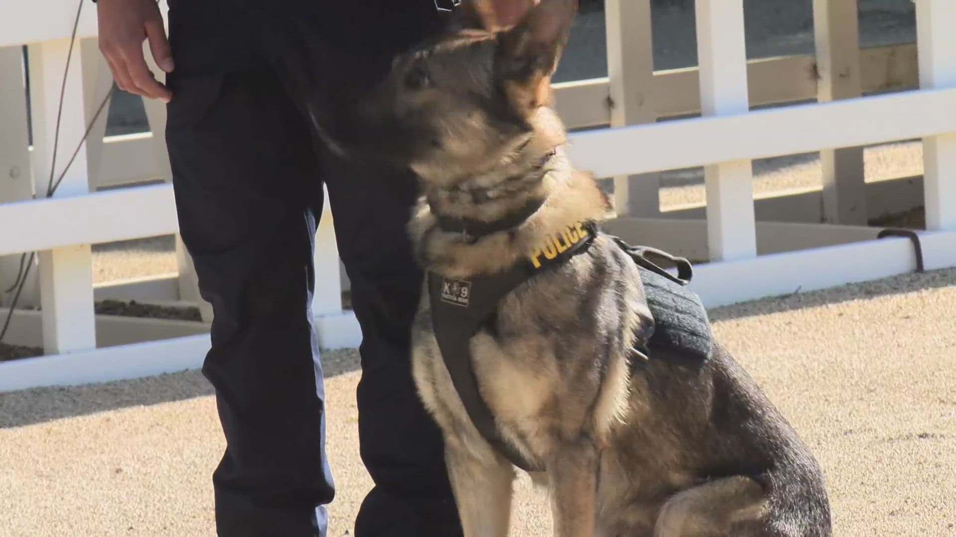 California Highway Patrol graduates 8 canine officers and handlers