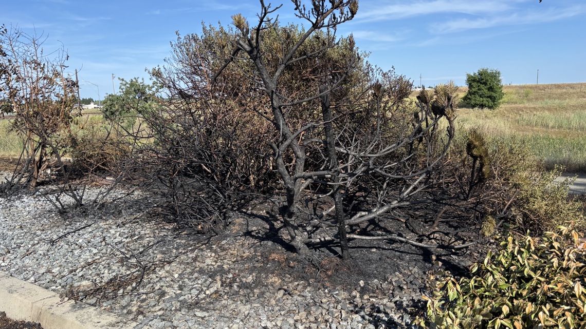 Series of small vegetation fires in Lincoln raise concerns as dry conditions worsen