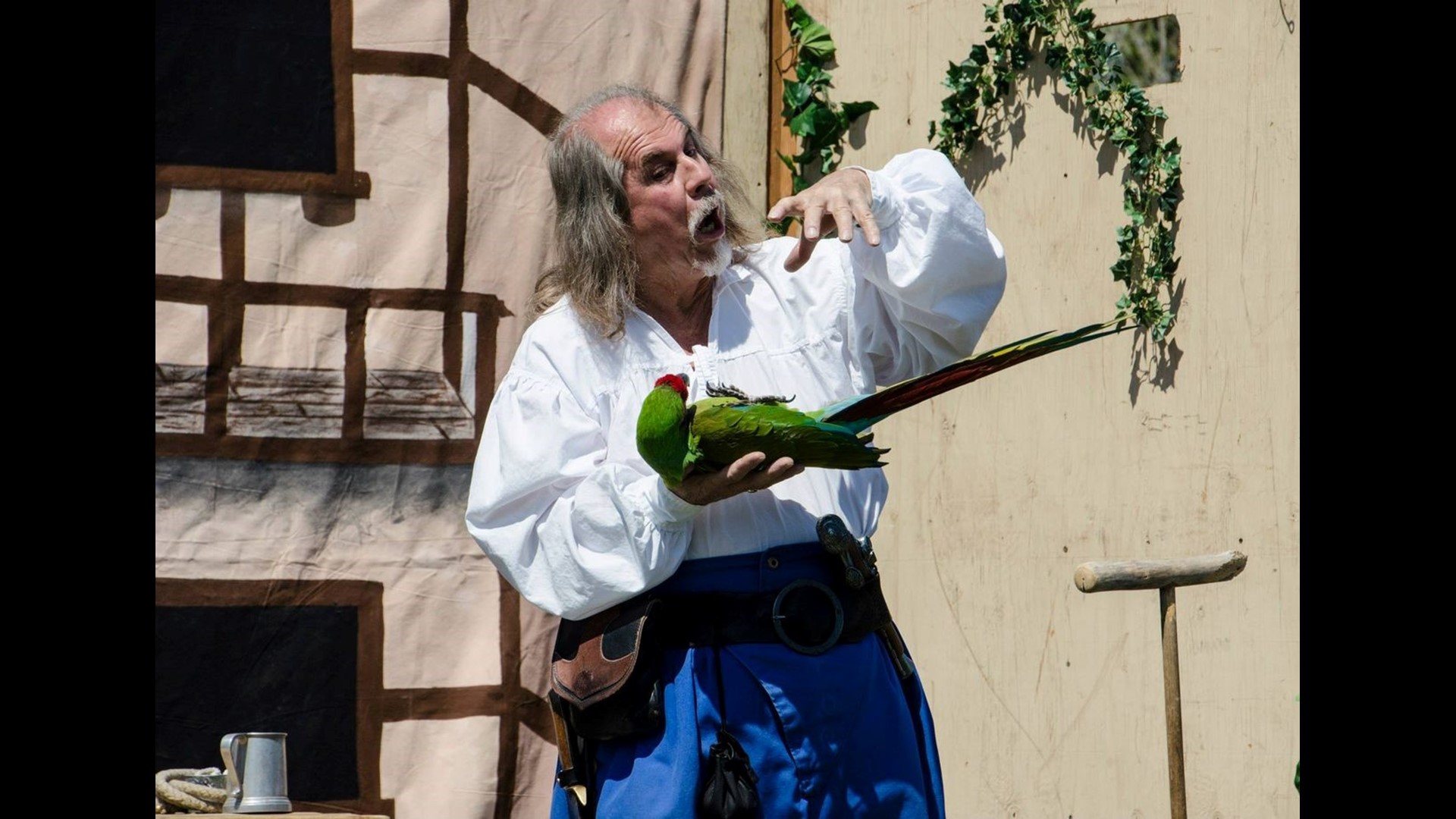 Photos The Folsom Renaissance Faire