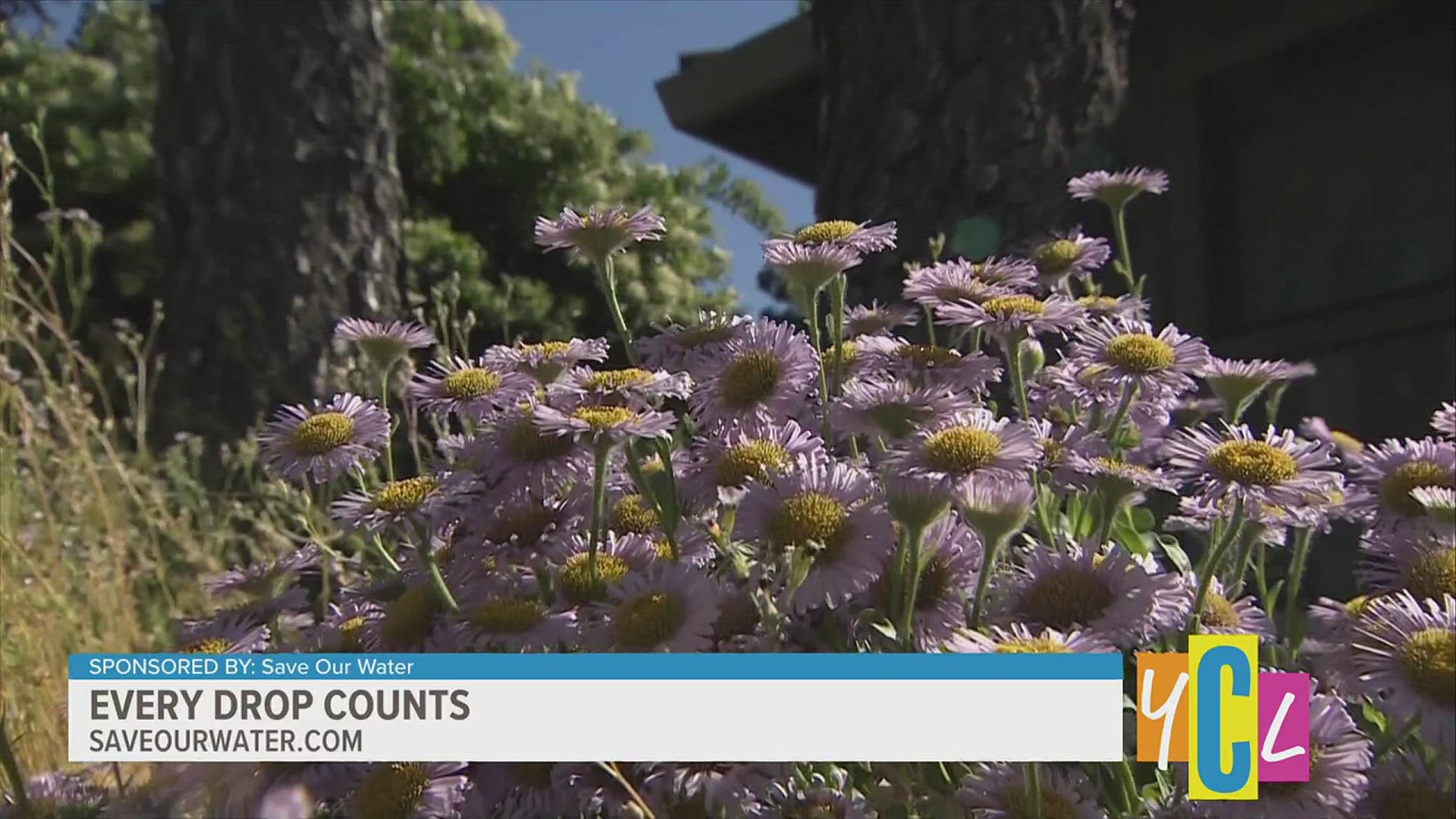 Water conservation can be something as simple as changing the way we garden and can have a huge impact! This segment is paid by Save Our Water.