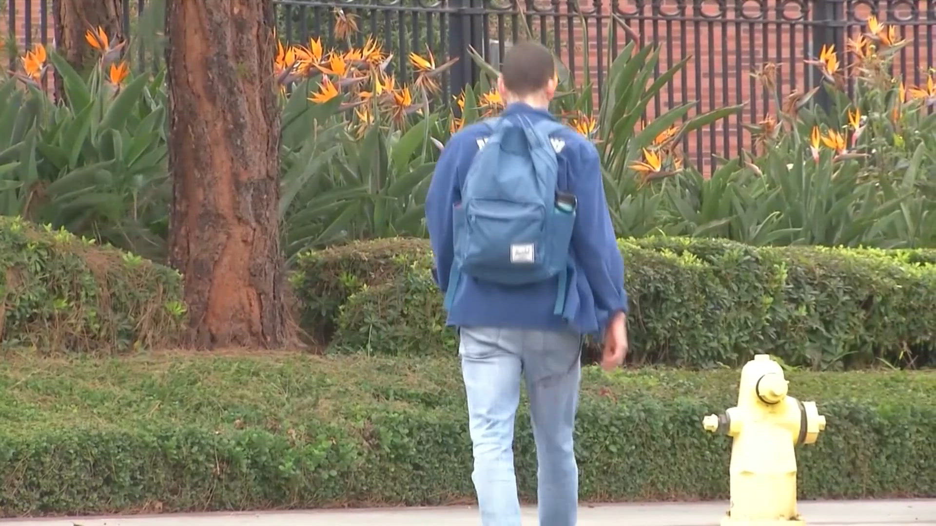 Education Department extends deadline for student loan auto-pay ...