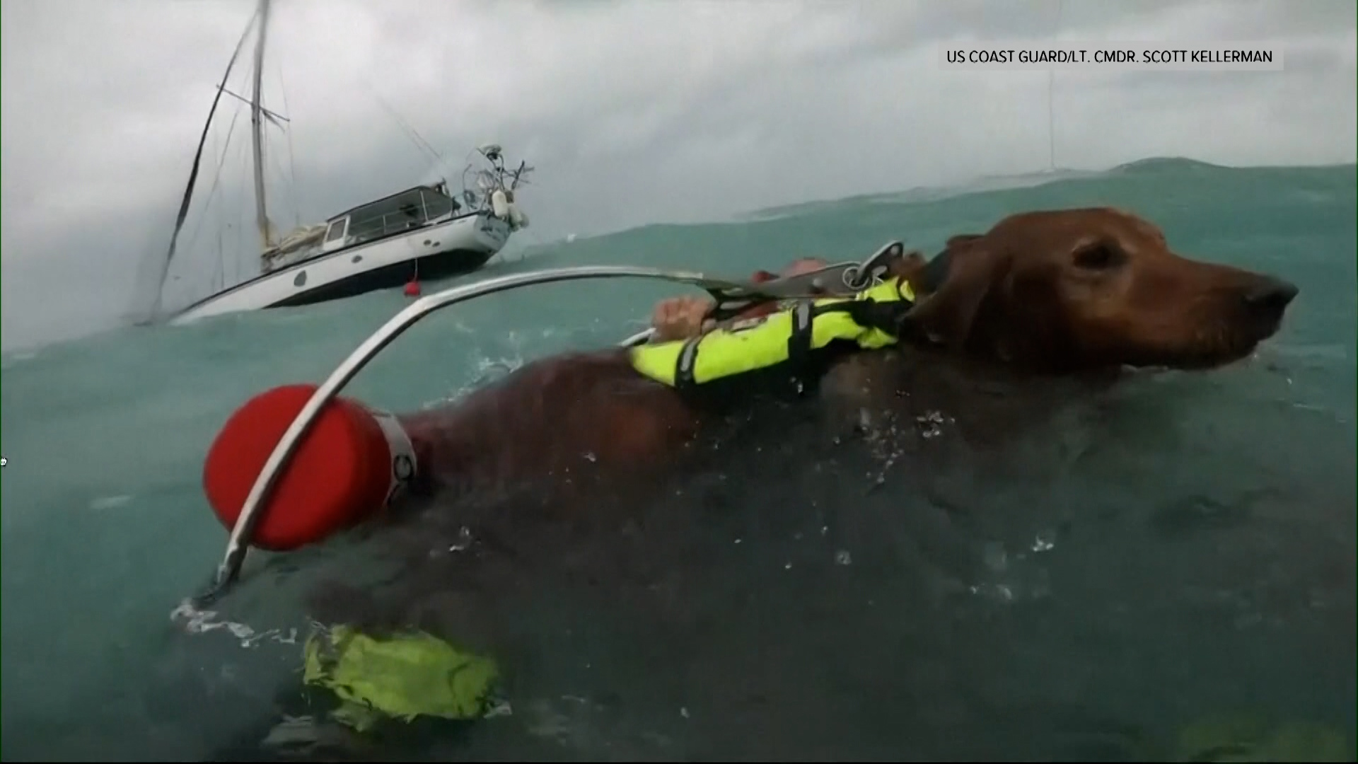 Coast Guard rescues man and dog during Hurricane Helene