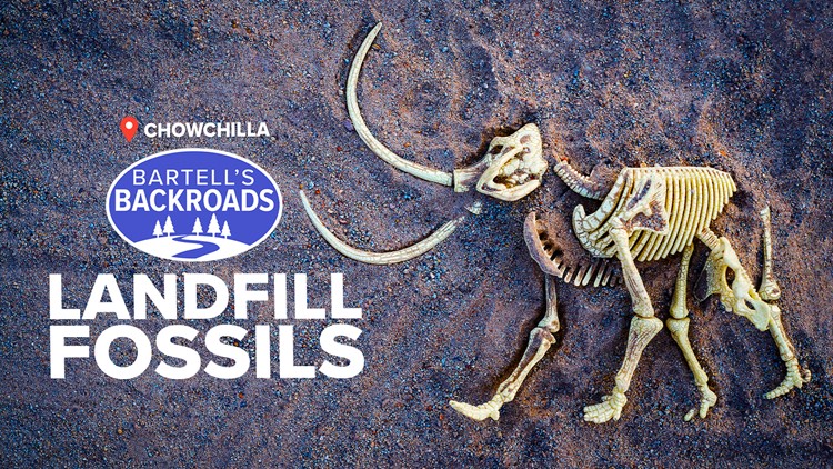 Fossils found in Madera County Landfill | Bartell's Backroads