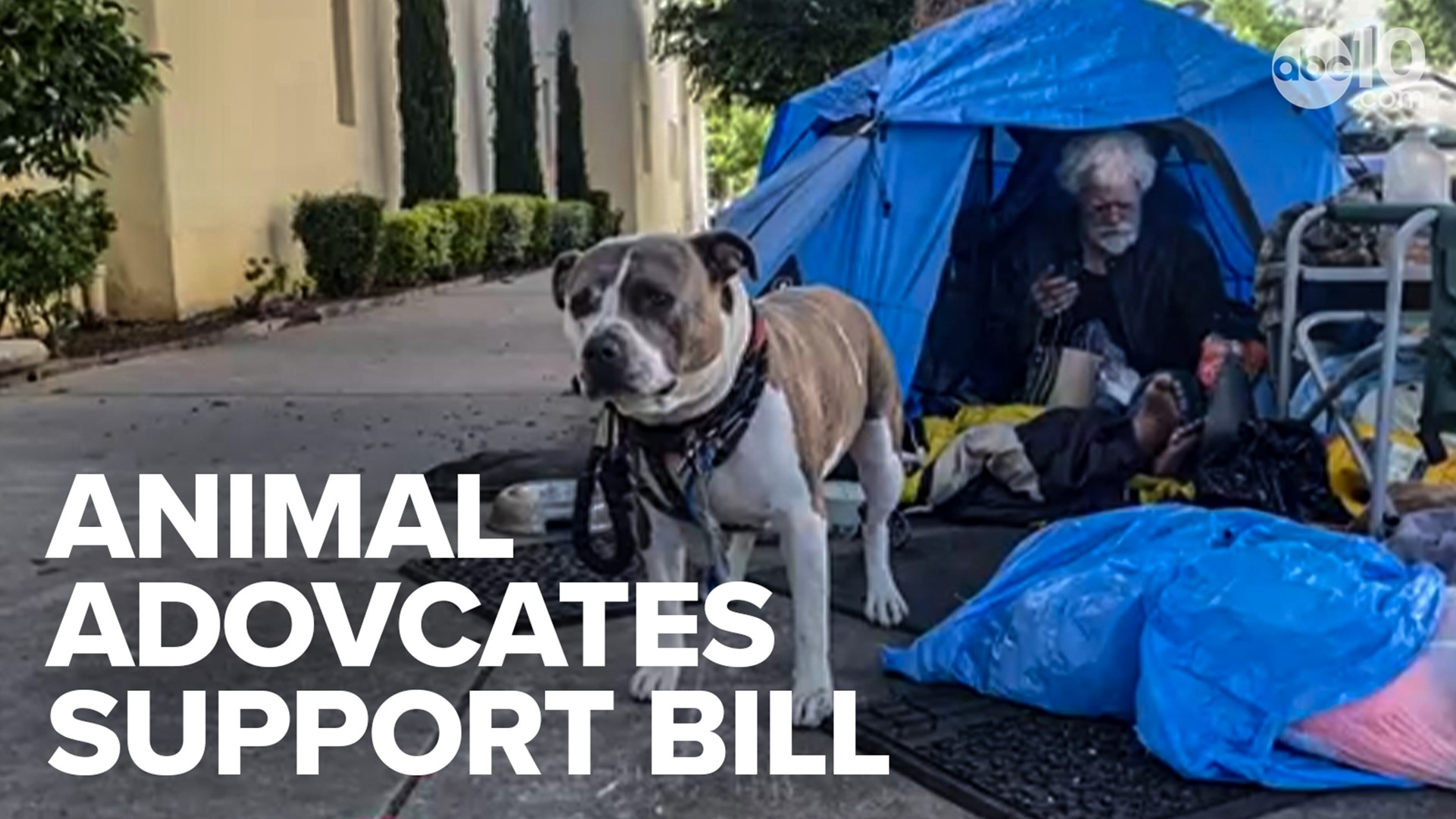 California lawmakers want $30 million to continue granting more funding for homeless shelters willing to accept pets who accompany residents.