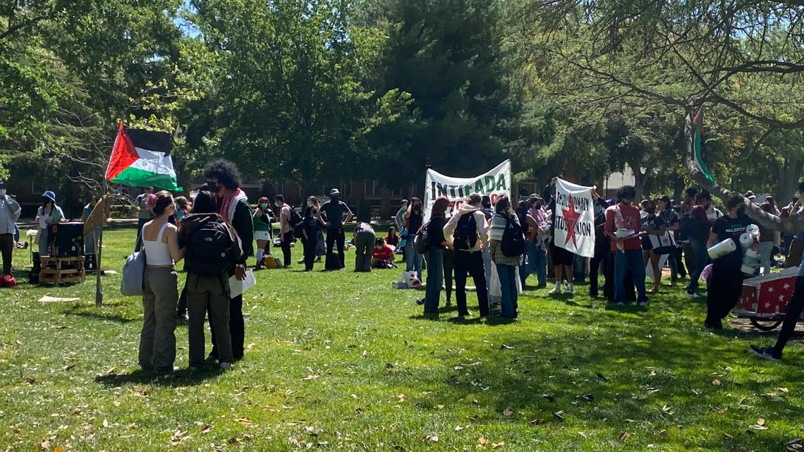 UC Davis students organize Pro-Palestine protest | abc10.com