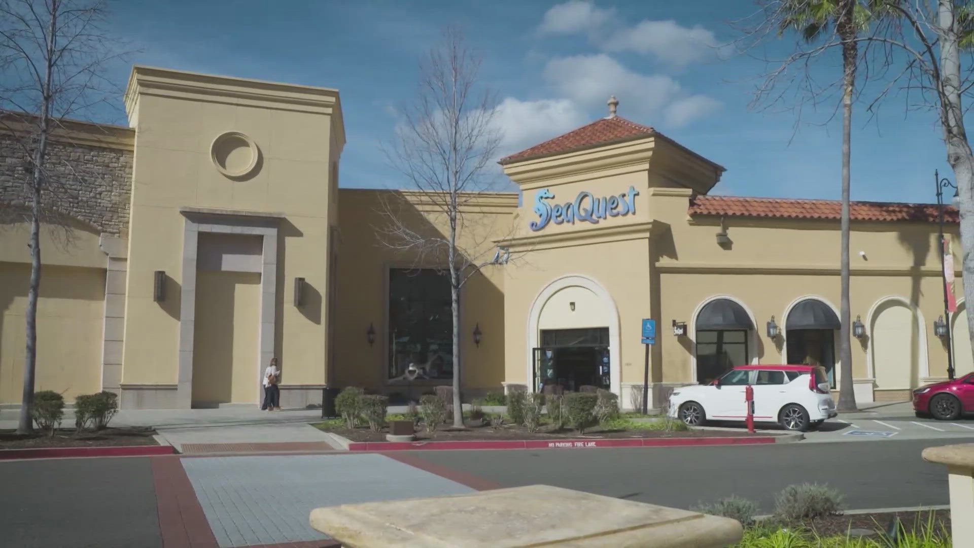 The controversial interactive zoo/aquarium is a national chain, with its only California location in the Folsom Palladio Mall.