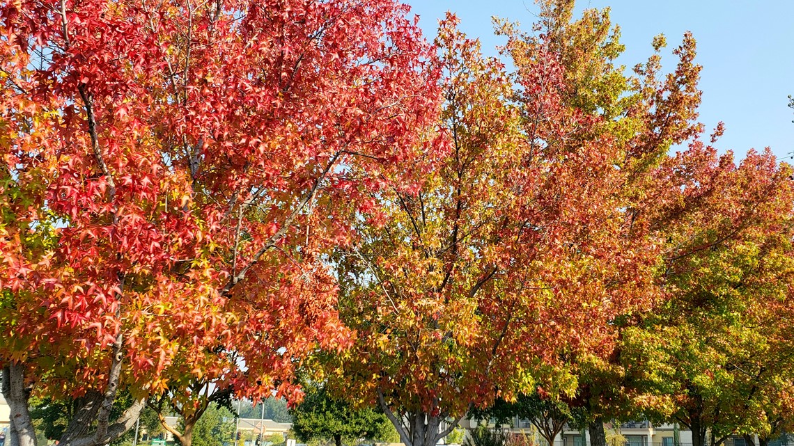 Fall weather in Northern California for mid-October | abc10.com Fall weather in Northern California for mid-October | abc10.com