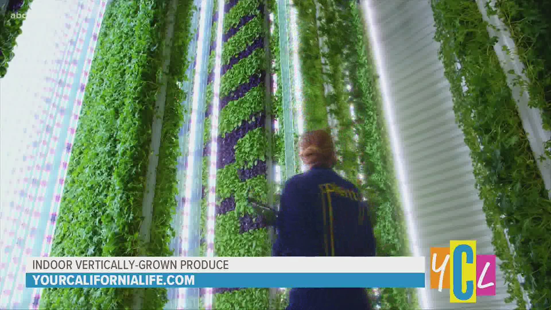 Indoor farming powered by robotics and technology is enabling one California company to grow 'Plenty' of flavorful nutrient-rich and pesticide-free produce.