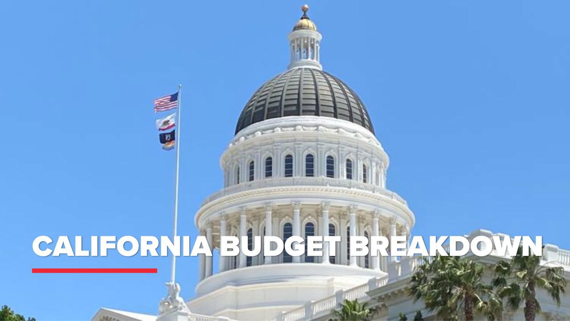 Gov. Newsom and the state legislature have to make tough decisions as the budget deadline nears. Learn about some of the programs at stake.