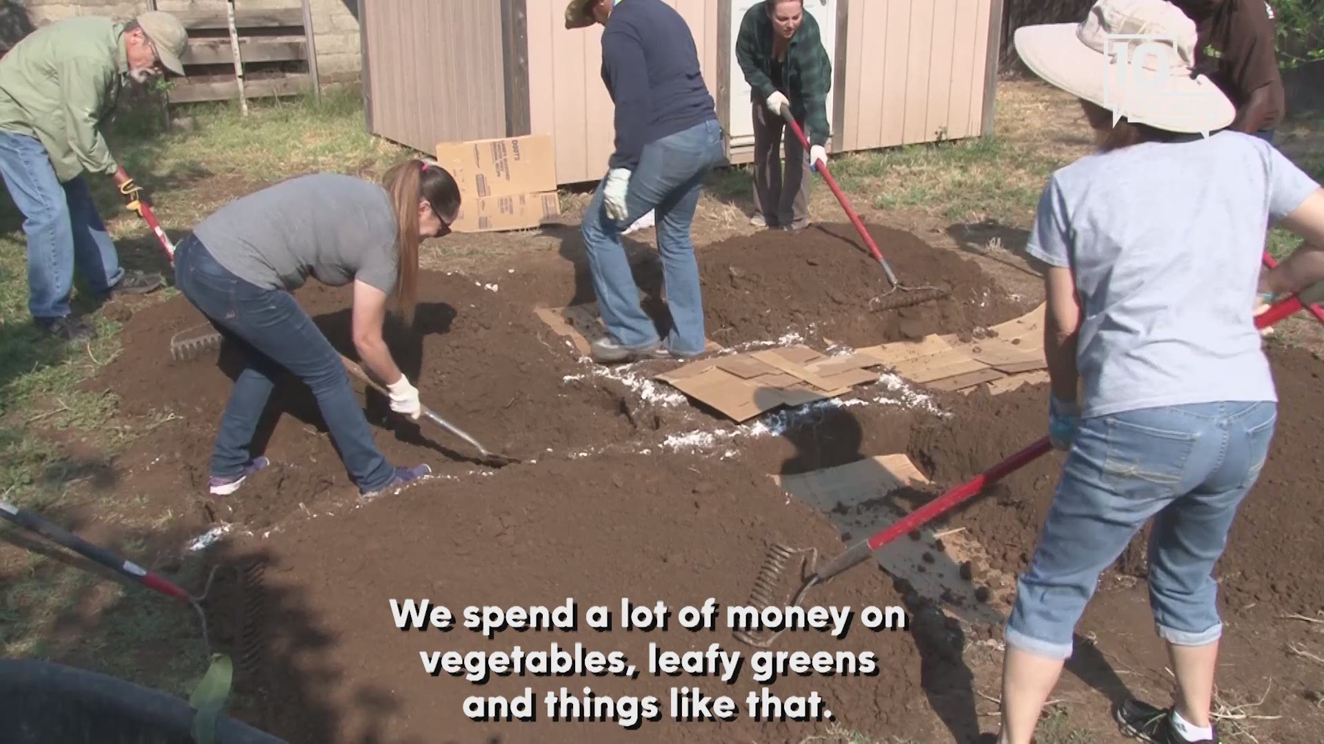 Watch what it takes to build a backyard garden in just a few hours.