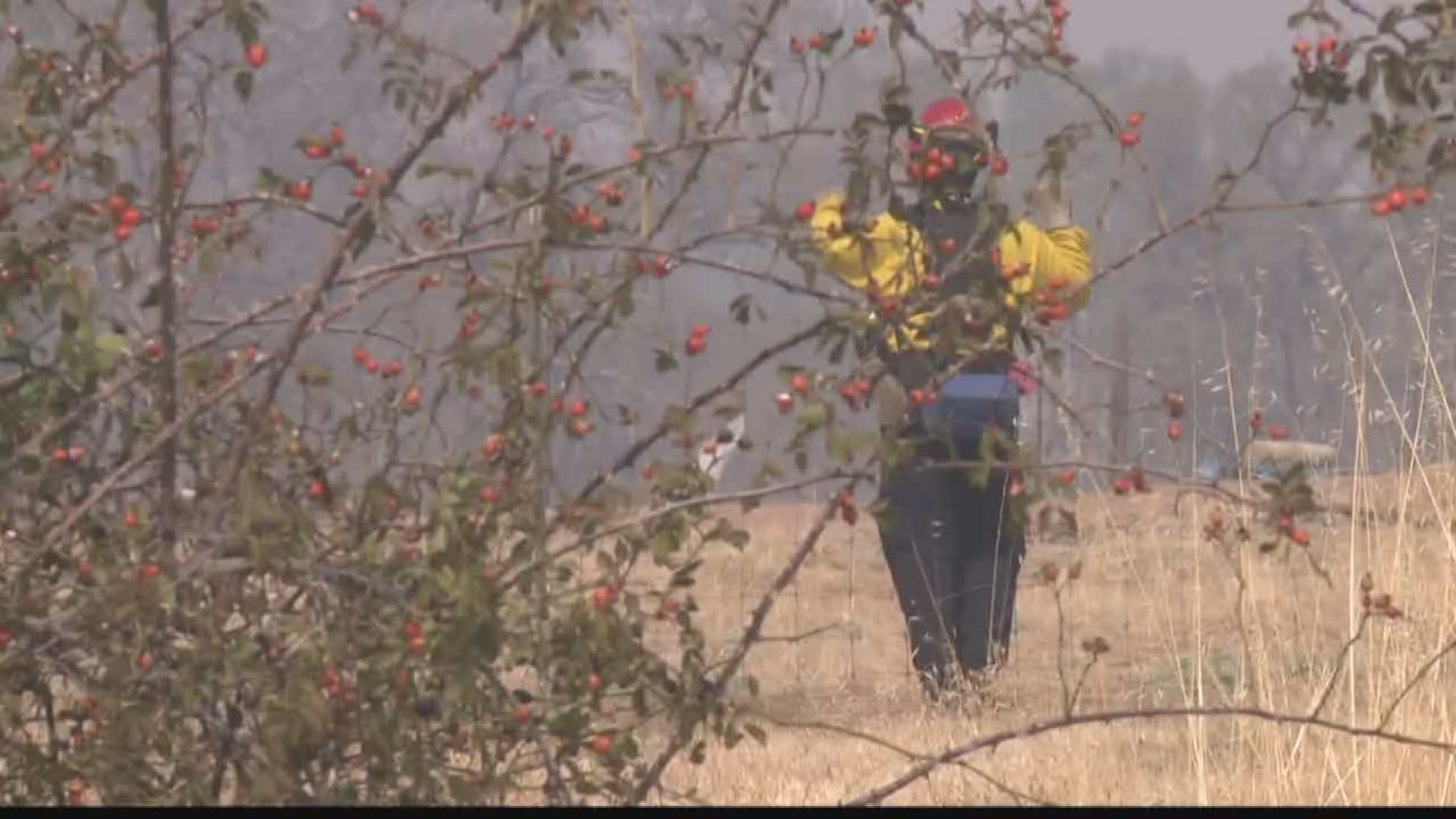 A local family is happy they're safe after the Cascade wildfire ripped through their property. Firefighters used the water from their pool to fight the blaze.