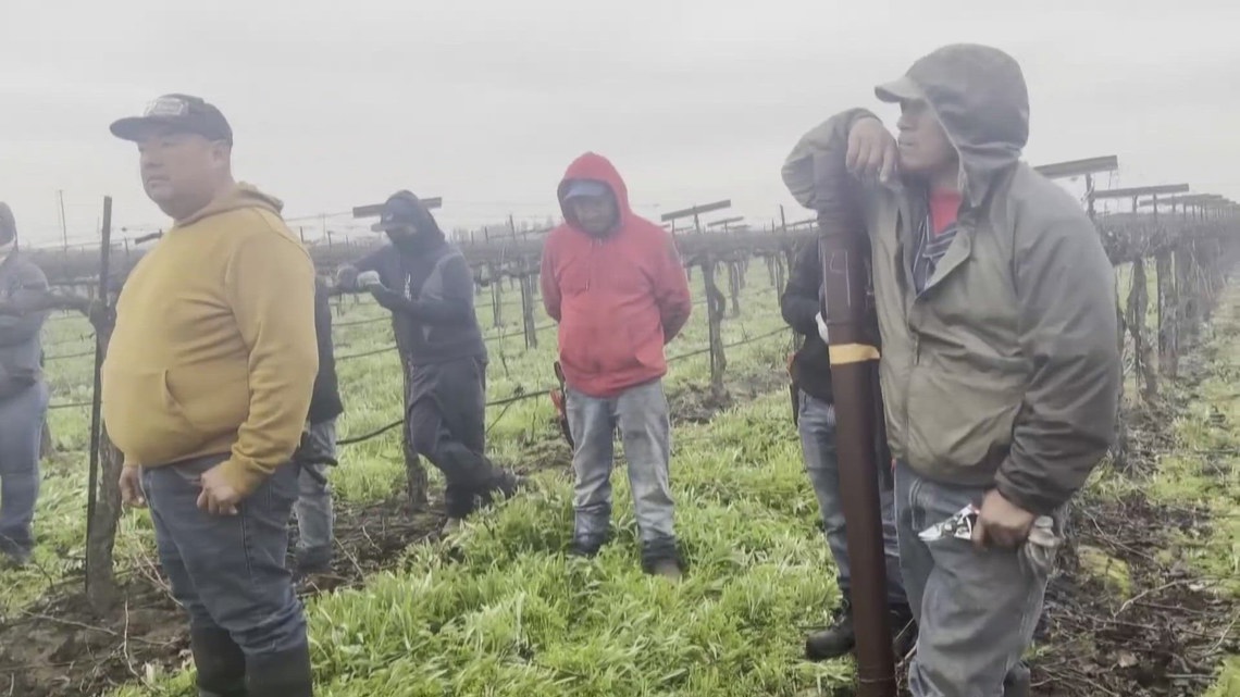 Farmworker advocates: Trump's pause for raids at farms doesn't solve problem