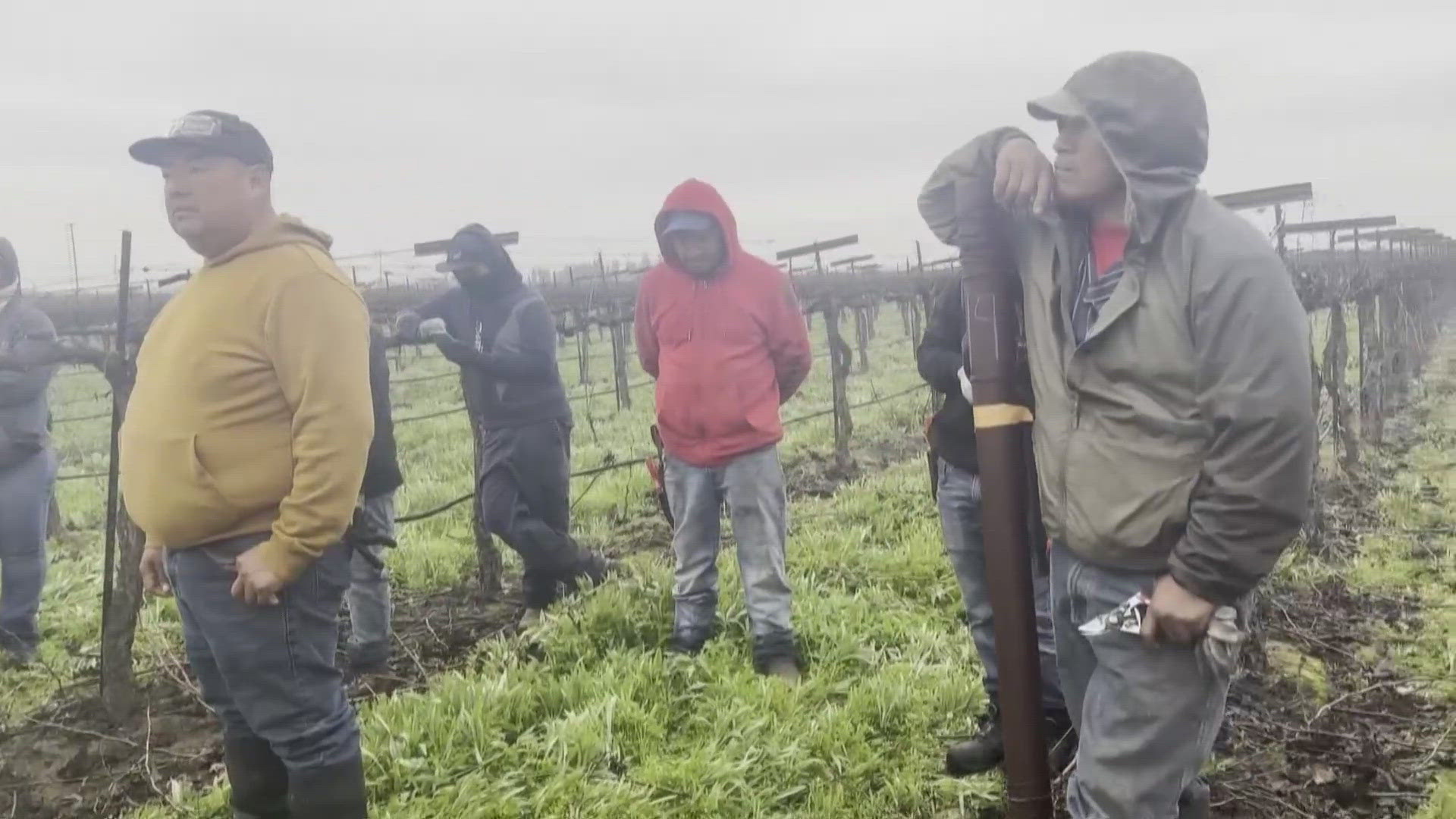 President Donald Trump’s decision to pause ICE raids at farms, restaurants, and hotels is drawing criticism from farmworker advocates. 