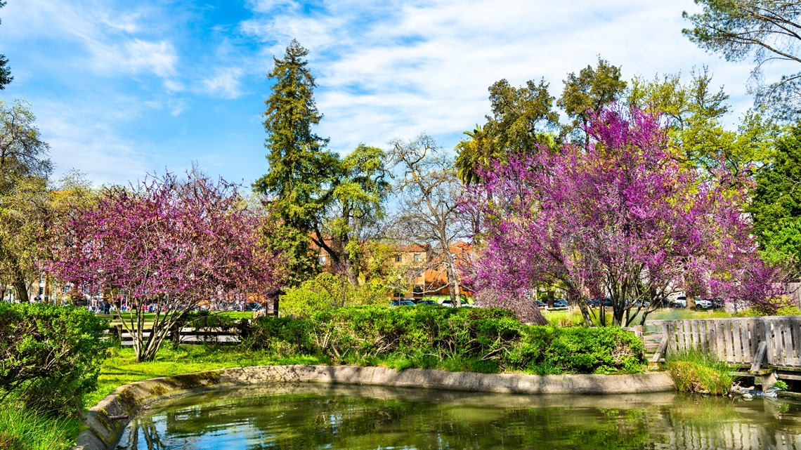 Things to do in Northern California: May 6-7, 2023 - Vimarsana News