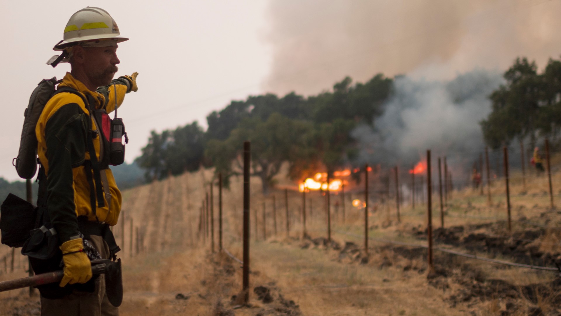 Fires burn across California, causing evacuations and road closures including at the LNU Lightning Complex Fire, Canyon Zone Fire, CZU Fire and Jones Fire.