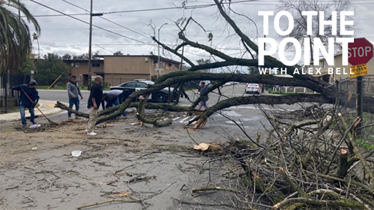 Northern California storm: Clean-up underway following rain, wind in Sacramento | To The Point