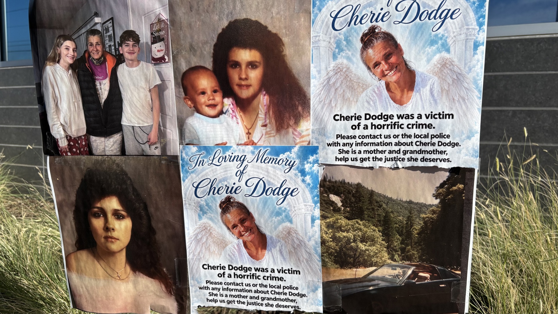 Family of slain Roseville grandmother wants teen charged as an adult