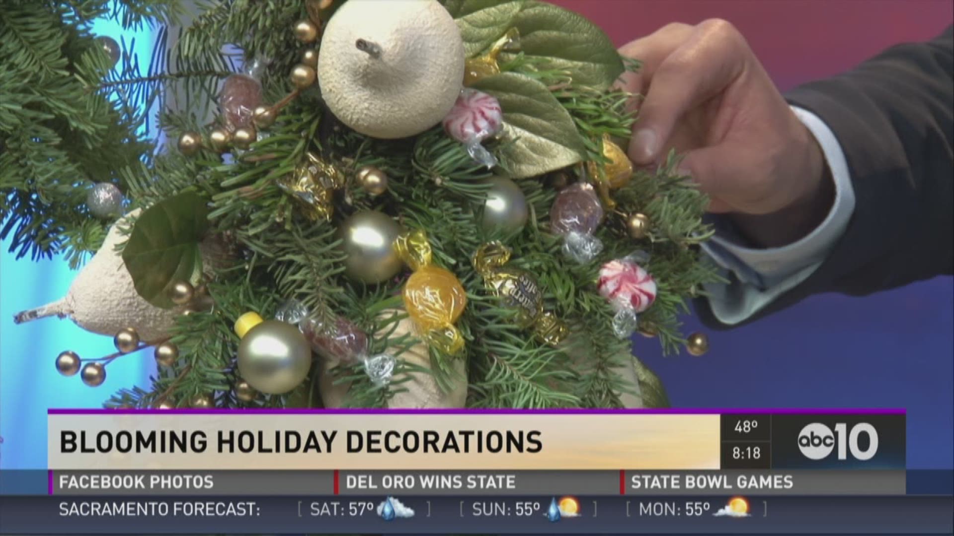 You've decked out a tree and lit up your neighborhood with fairy lights, now it's time to add color and bloom to the party.  Tamara Till of "Rosae Flowers and Décor" in Folsom gives us some floral tips.
