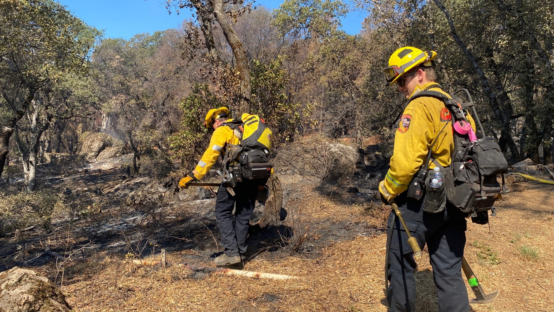 The Rices Fire, Nelson Fire, and Sandra Fire are keeping firefighters busy in Northern California.