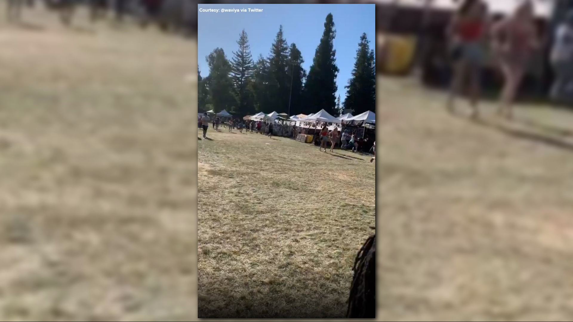 Several festival attendees recorded the aftermath on videos posted to social media. Gunfire could be heard in a video recorded by @wayvia on Twitter.