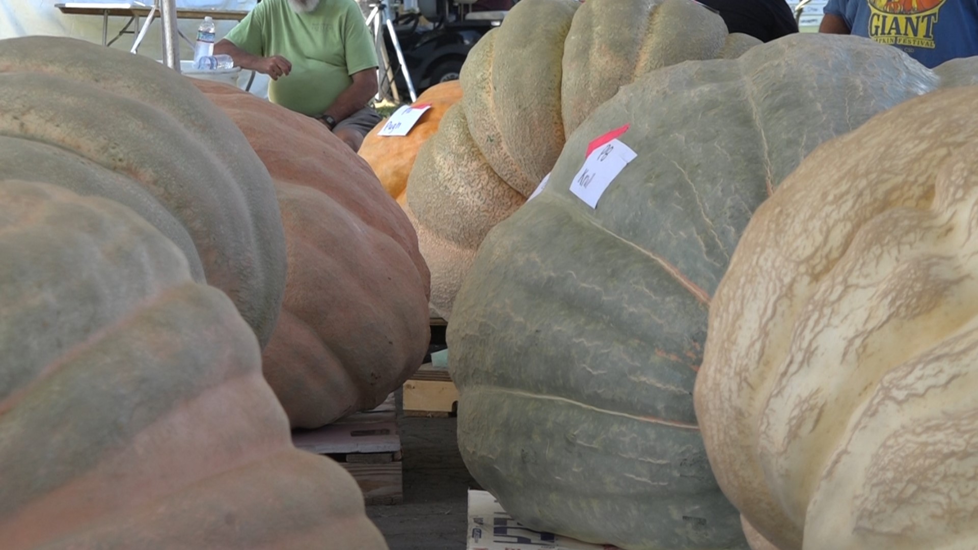 From carnival rides, inflatables, food trucks and contests to a pumpkin patch and finding the heaviest pumpkin in the lot, the event runs through Sunday.