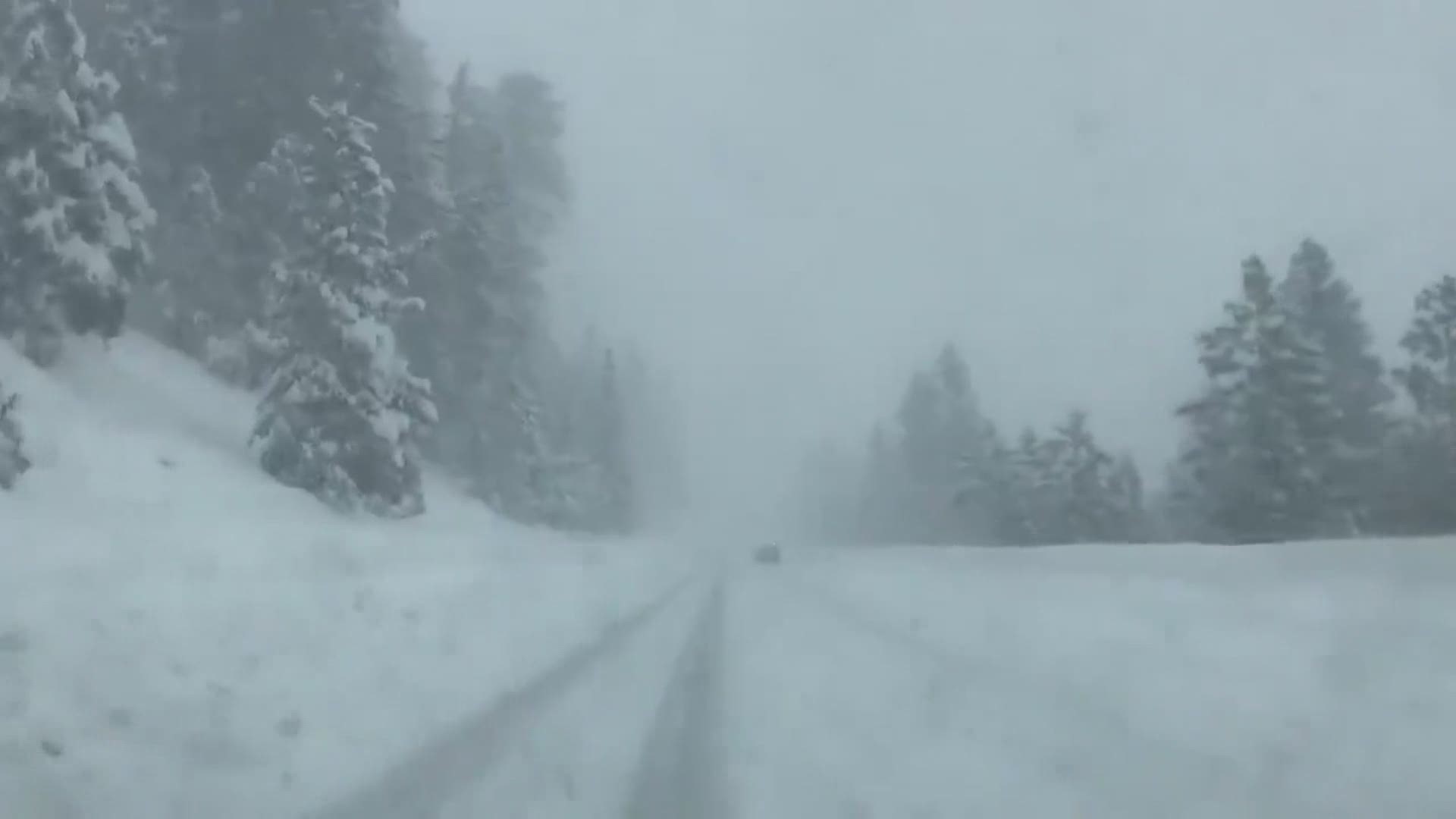 WOW! This is what ABC10's Daniela Pardo is driving through for coverage of winter conditions in the Sierra today. Visibility is low and roadways are icy.