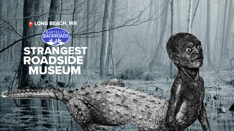 Inside Marsh's Free Museum, where Jake the Alligator Man and