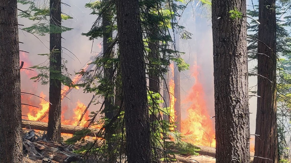 Washburn Fire: Local business feel heat from wildfire smoke - Vimarsana News