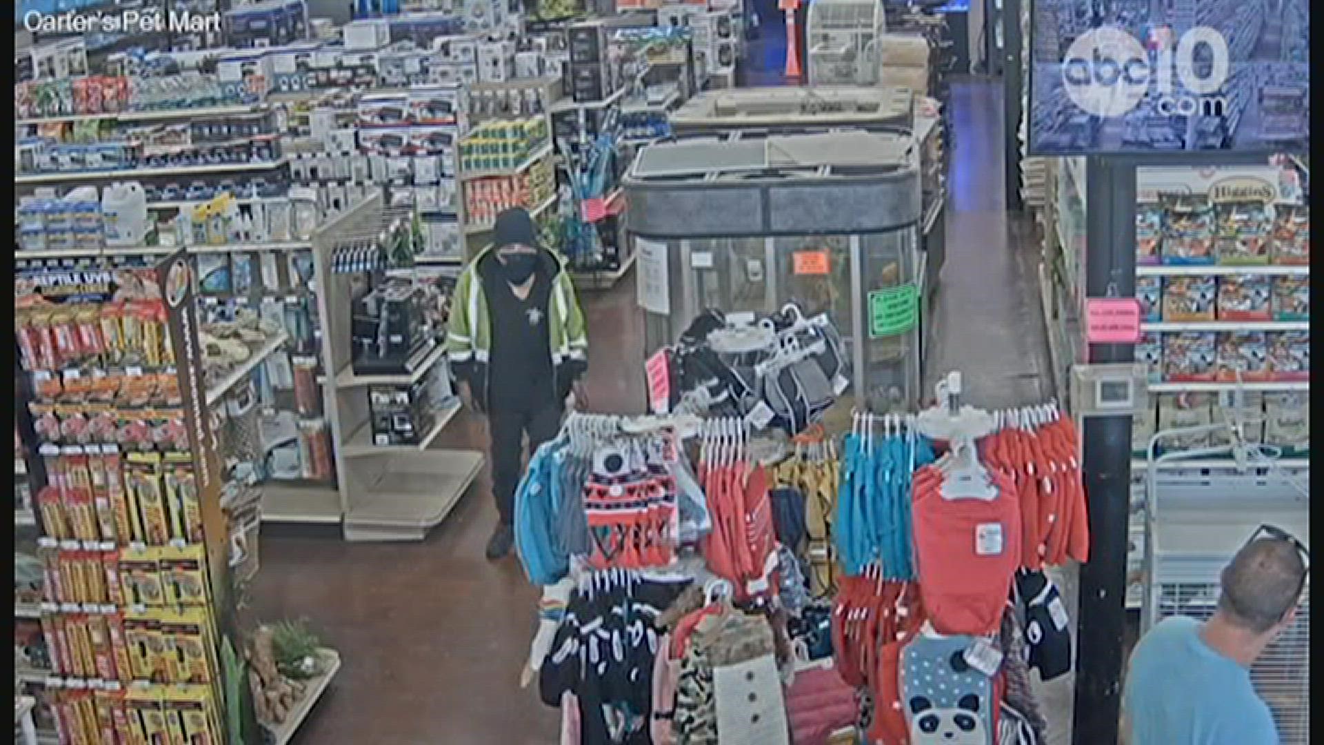 Security camera video shows the moments a man runs out of Carter's Pet Mart in Stockton stealing a Blue-Fronted Amazon Parrot, worth $5,000.