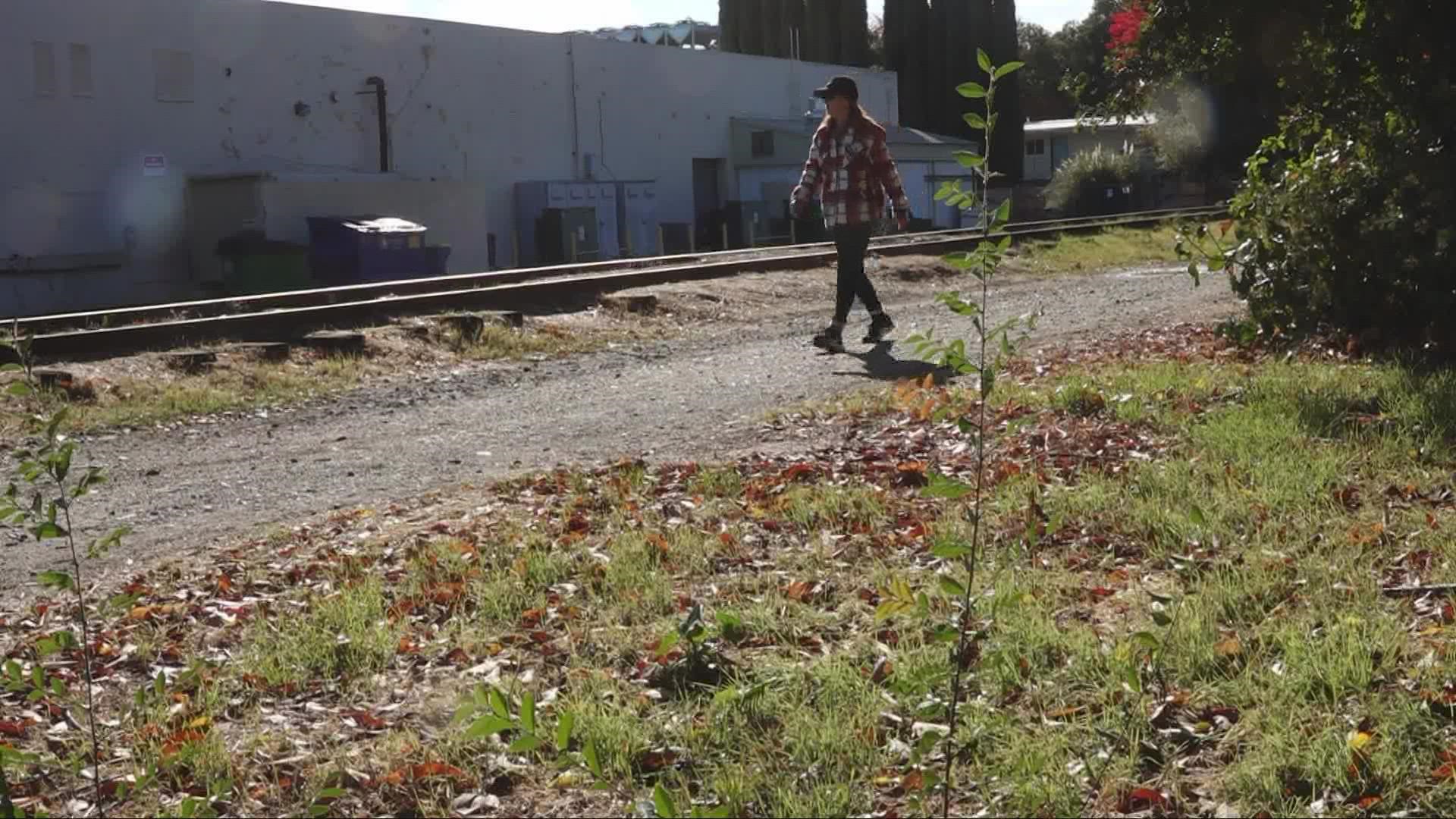 Some of the improvements to the Del Rio Trail, like trail art, will be done in stages.