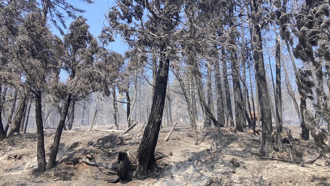 Mosquito Fire: Emergency declaration made for Placer, El Dorado - Vimarsana News