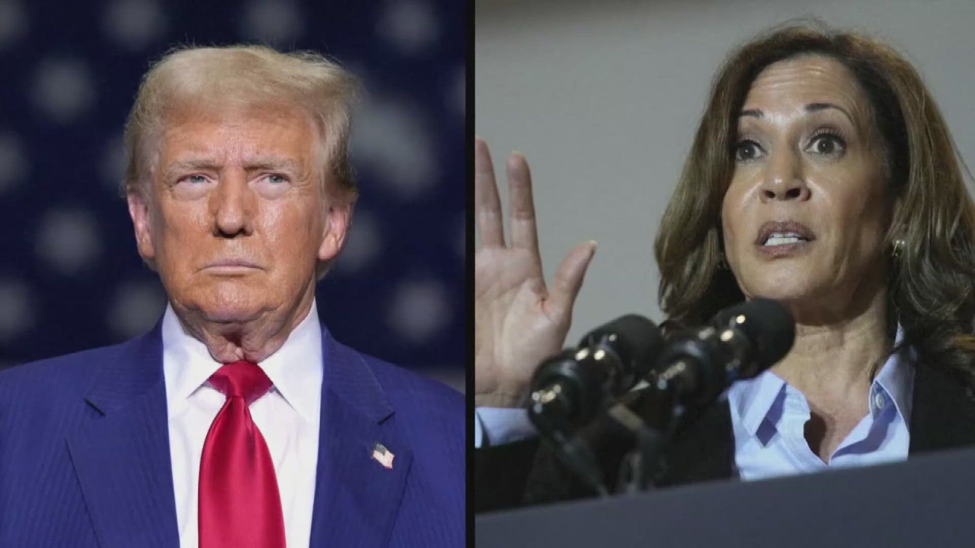 Former President Trump and Vice President Kamala Harris clashed in their first and possibly last debate. But did it move voters?