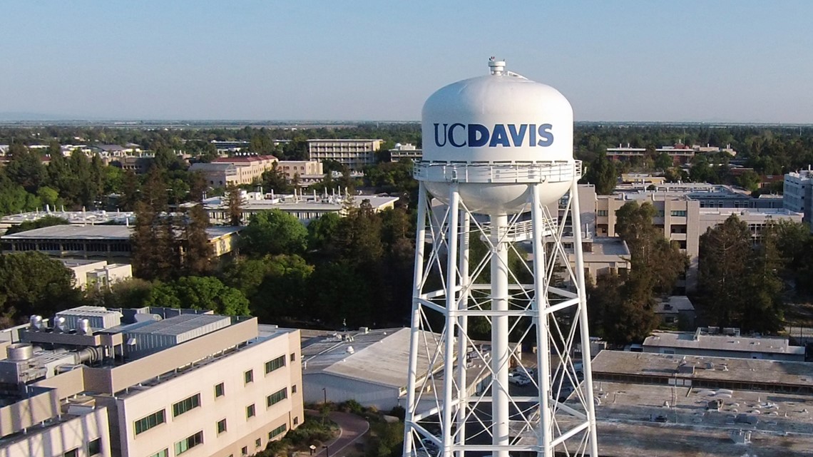 Nearly 21,000 fish die in 'catastrophic failure' at UC Davis
