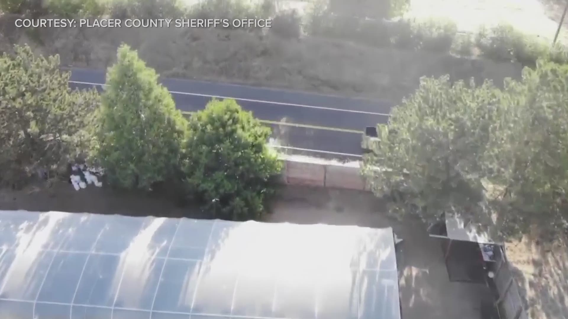 The Placer County Sheriff's Office released aerial footage from a large marijuana bust on Oct. 30, 2019.