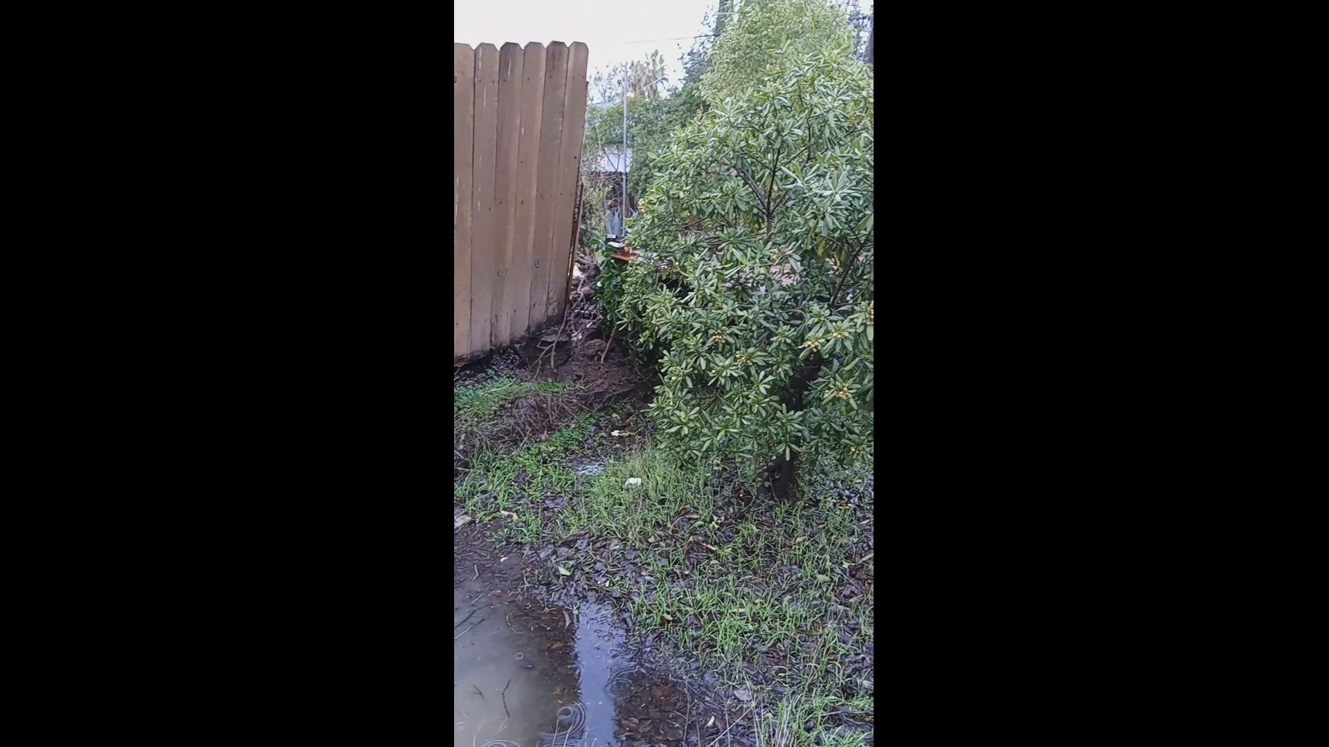 Winter Storm versus tree and fence on Colfax Street., Sacramento
Credit: Deserie Lisondra