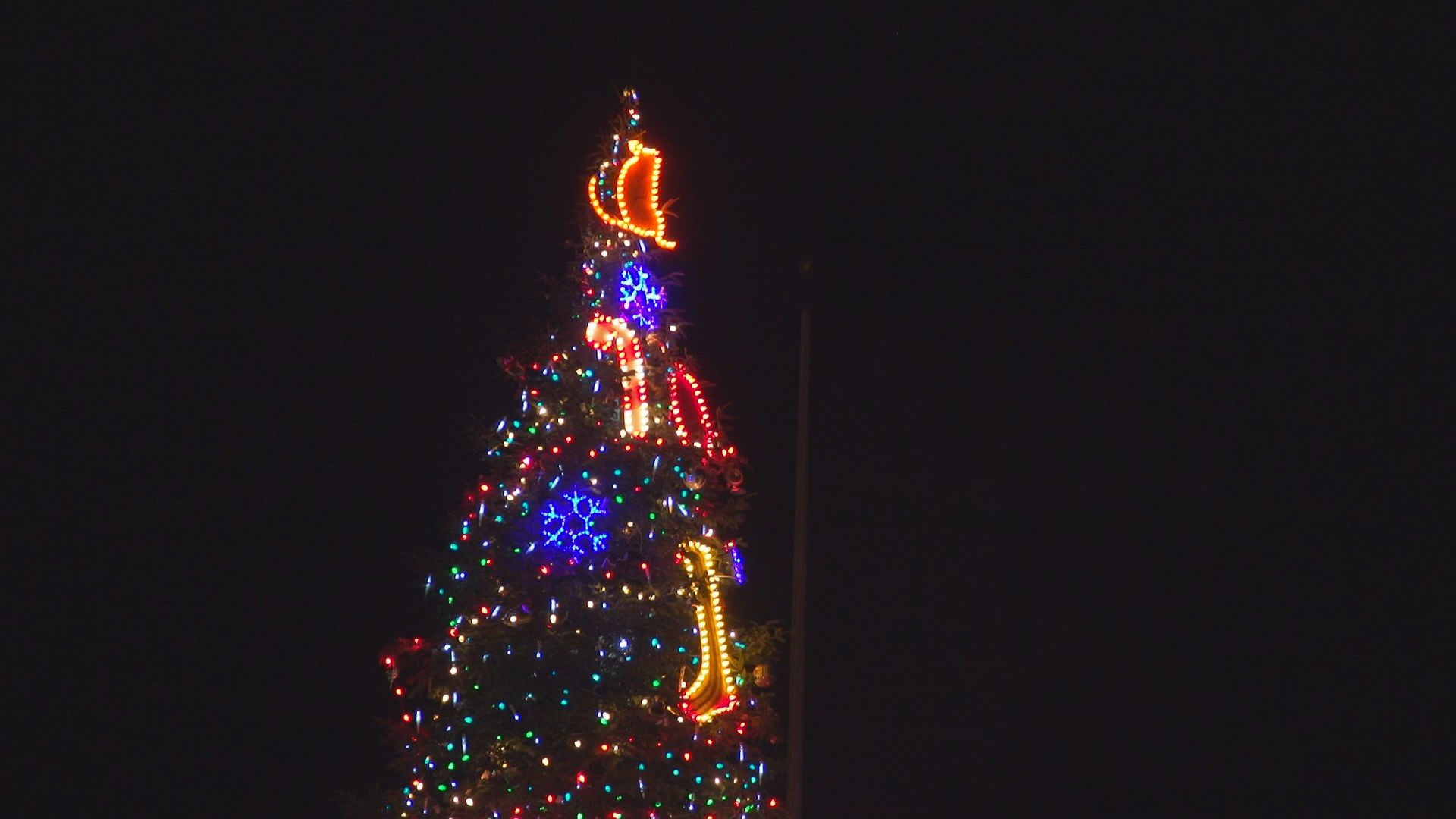 Old Sacramento Holiday Tree lights up, kicking off holiday season