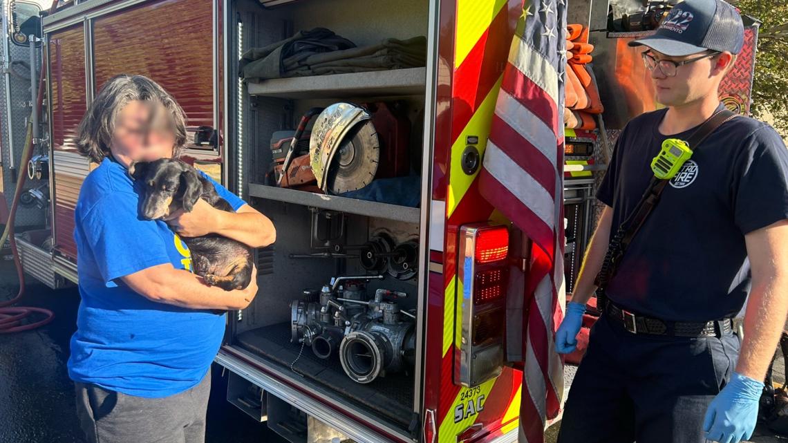 Dog rescued from house fire | abc10.com