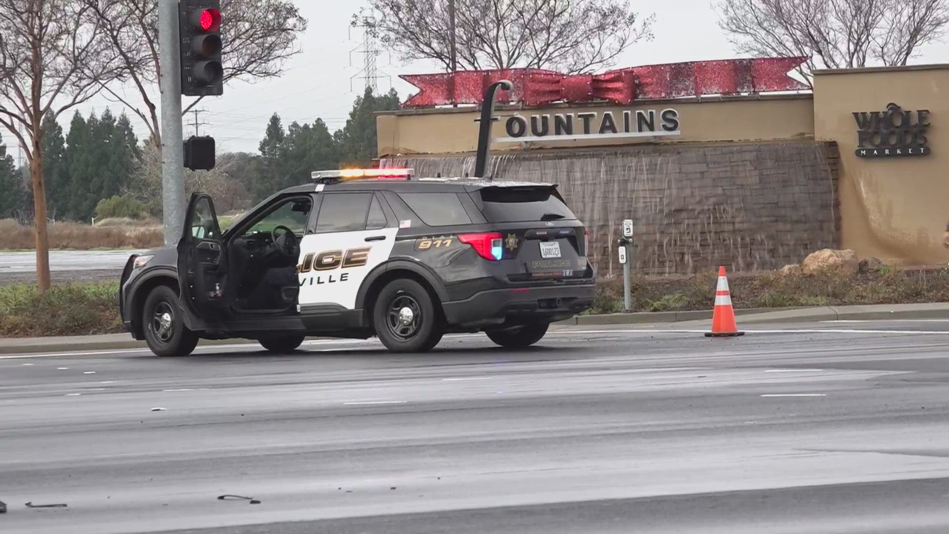 A male pedestrian died after being hit by a car near the Roseville Galleria Sunday morning, police said.