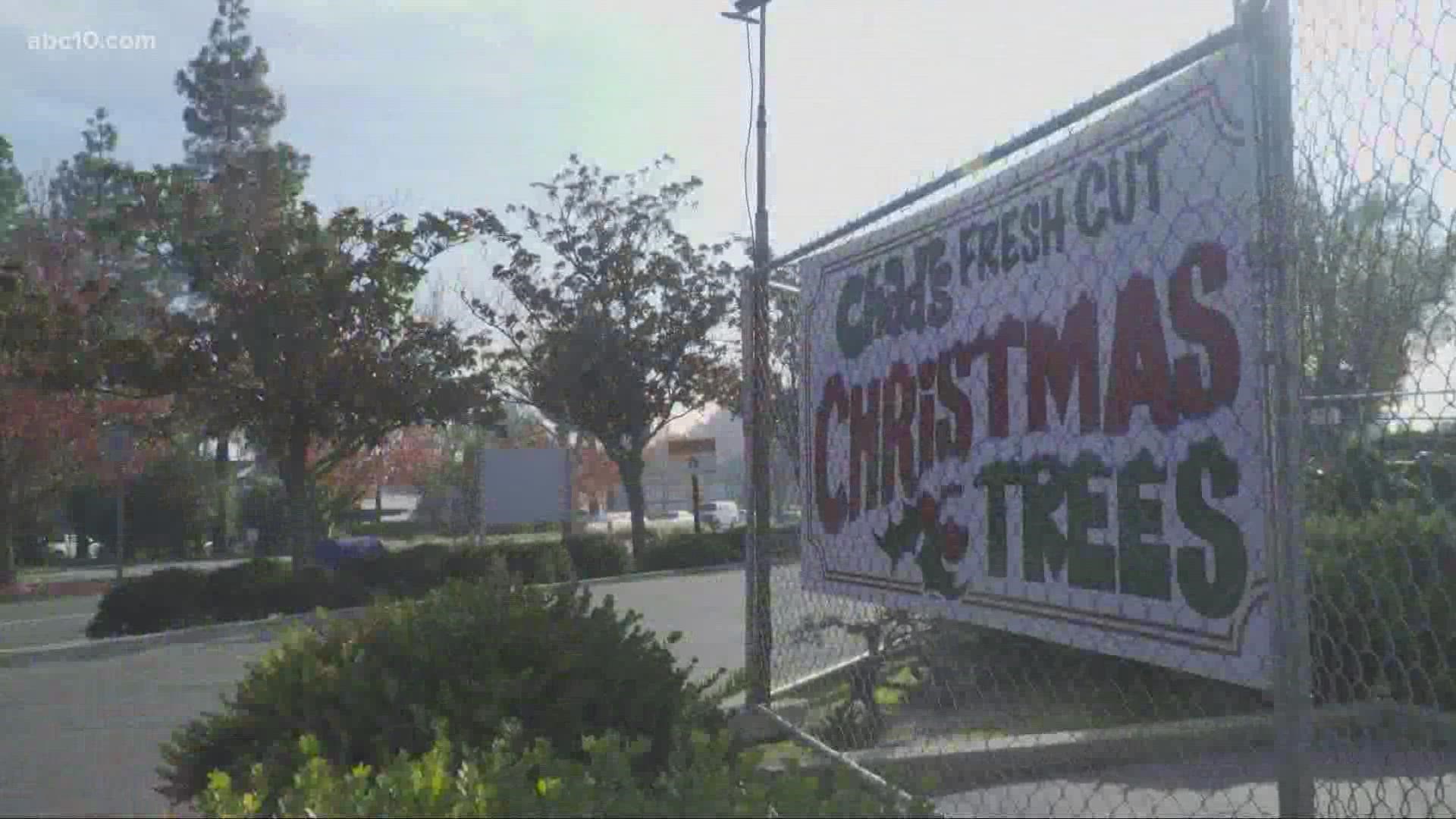 As people get stocked for the holiday season, they might notice their Christmas trees costing a bit more than usual.