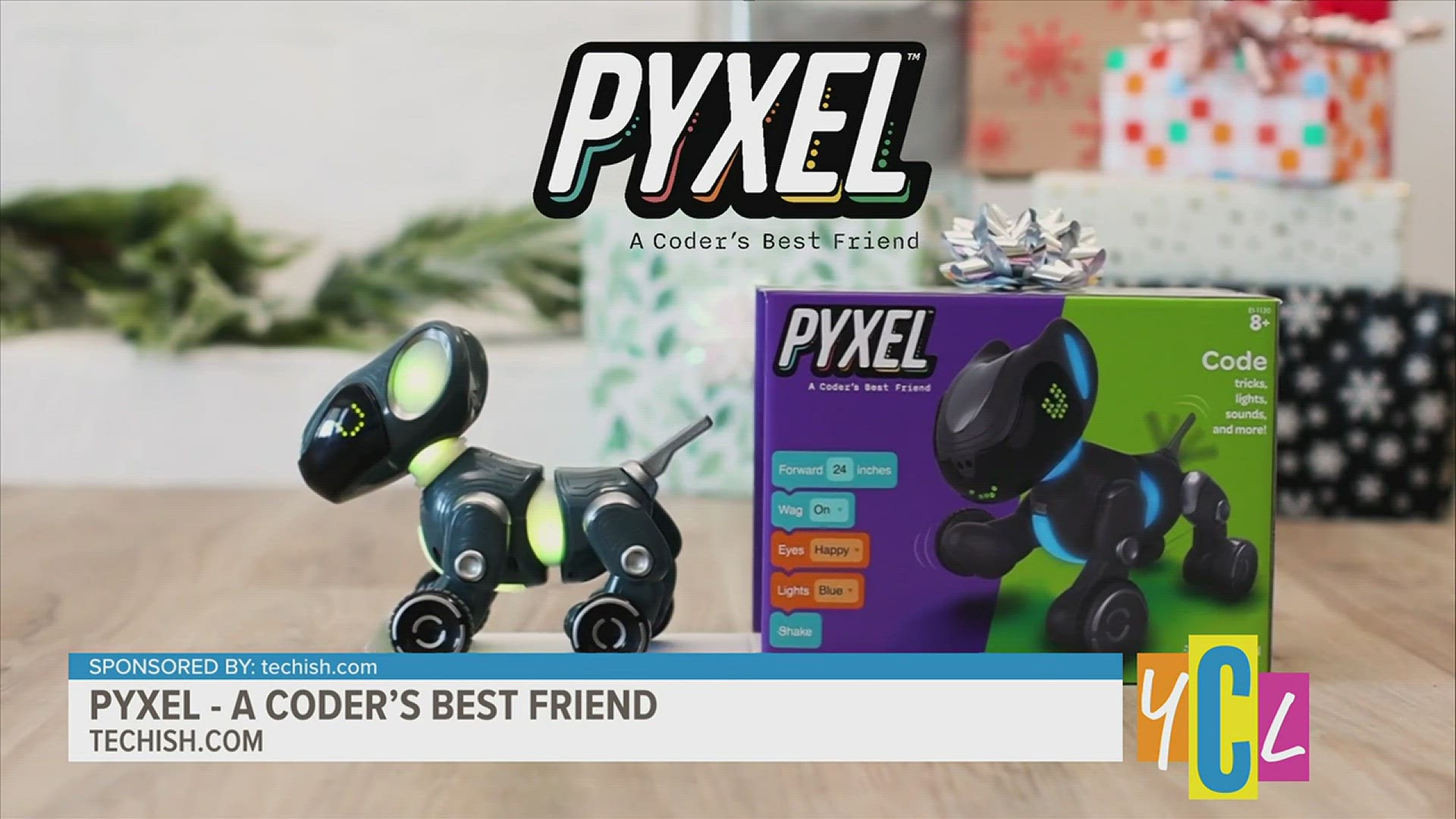 Pyxel A Coder's Best Friend
