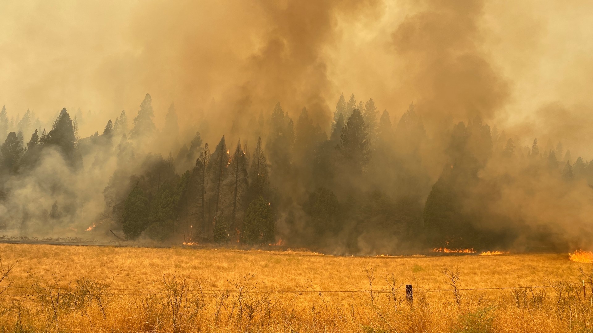 As Mariposa County's Oak Fire continues to burn uncontained, the smoke billowing into the air is drifting northeast as far as Tahoe and Idaho.