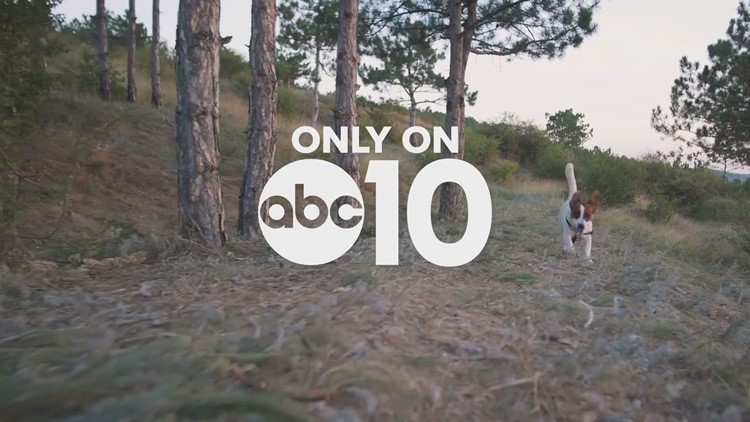A common weed that can kill your pet | ABC10+ Promo